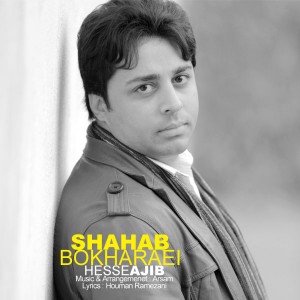 Shahab-Bokharaei-Hesse-Ajib-pxm9zvgb56