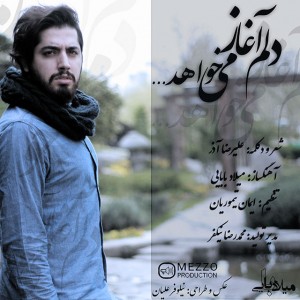 Milad-Babaei-Delam-Aghaz-Mikhahad-4628b5e6b06d21bc12a4c4fa2647880b