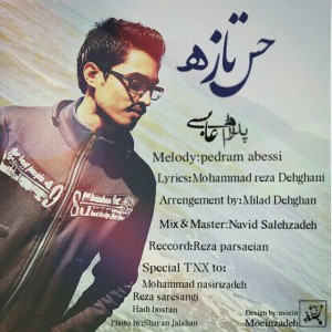 pedram-abesi