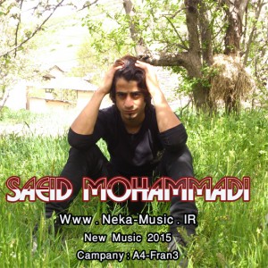 سعید محمدی به نام غریبه یار