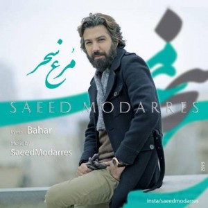 سعید مدرس به نام مرغ سحر